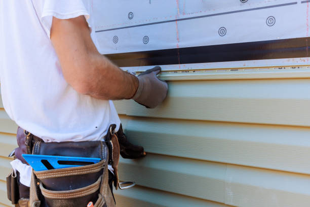 Affordable Emergency Siding Repair solutions in Dolphin, VA
